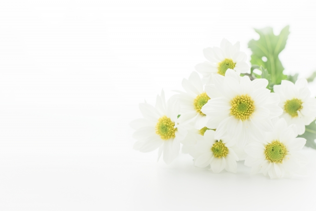 高根沢町・宇都宮市における家族葬の費用